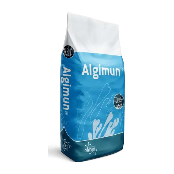 Algimun