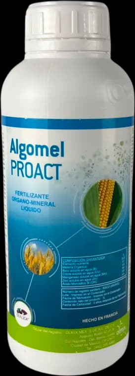AlgoMel Proact
