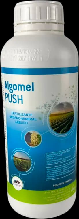 AlgoMel Push